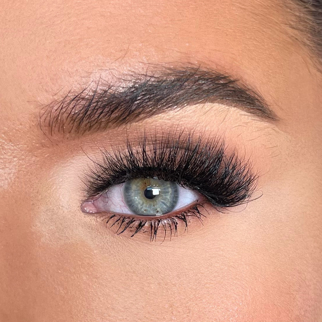 MONTHLY LASH SUBSCRIPTION